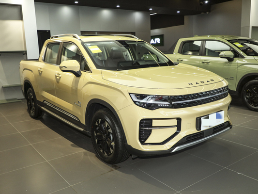 Geely RD6 Чистый электрический пикап 4 двери 5 сиденья Структура кузова Система ABS включена
