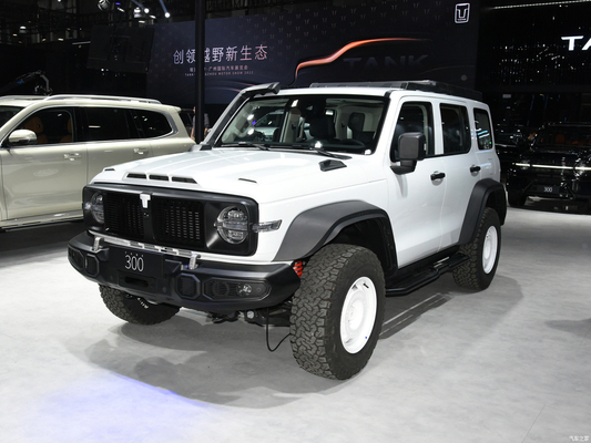 2023 GWM внедорожный танк 300 внедорожник Автомобиль 2.0T бензиновое топливо 4WD Оснащенный светодиодным фаром