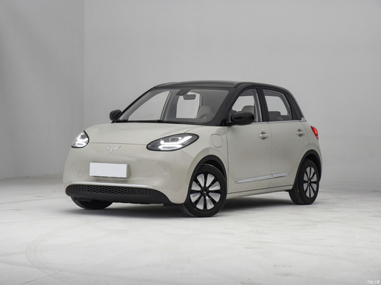 2023 Wuling Bingo Mini EV CLTC 333 км Пятидверный Четырехместный Энергетический Малый Чистый Электрический Автомобиль