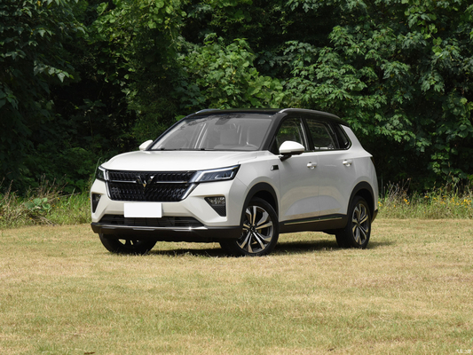 Ручное парковочное торможение 2021 Wuling Star 1.5T CVT Xingyao Edition 4-дверный 5-местный внедорожник