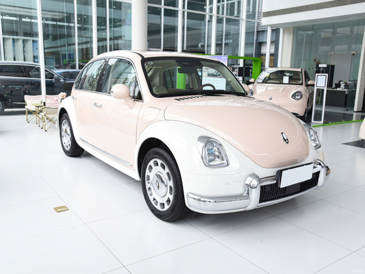 2023 Girls Speed Electric Car Эйлер Балетный кот 401KM Орехолом версия для 5 мест