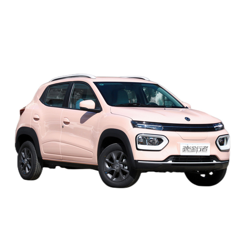 Опыт будущего вождения с Dongfeng Ex1 Nano Box Mini SUV Electric Car