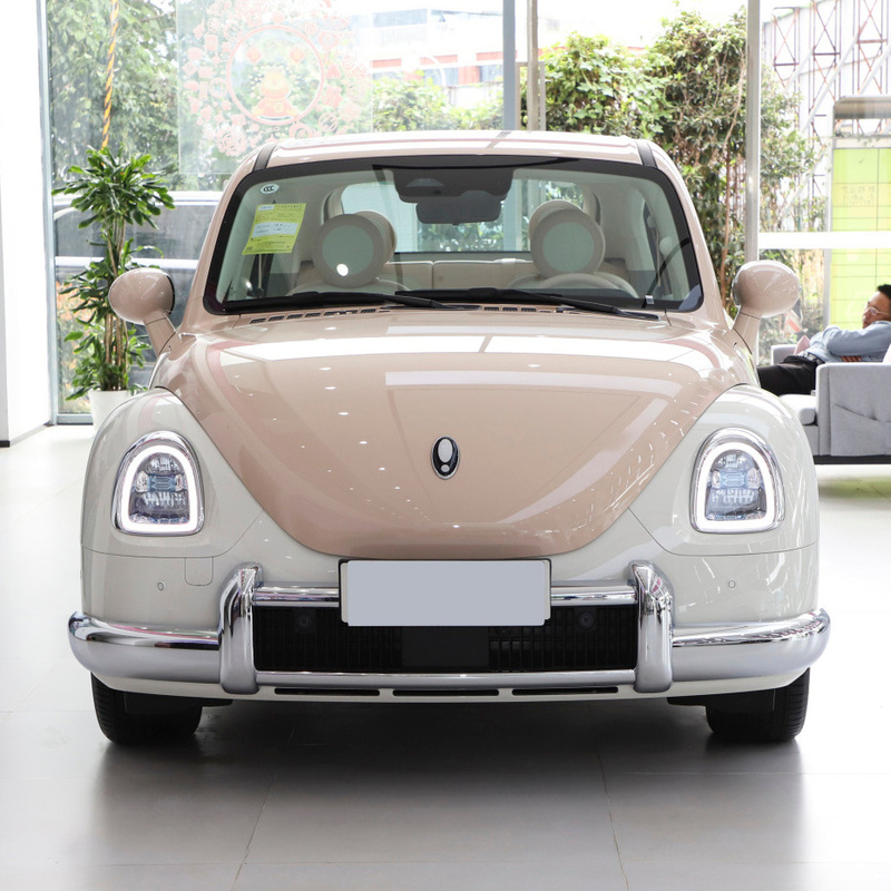 2023 Girls Speed Electric Car Эйлер Балетный кот 401KM Орехолом версия для 5 мест