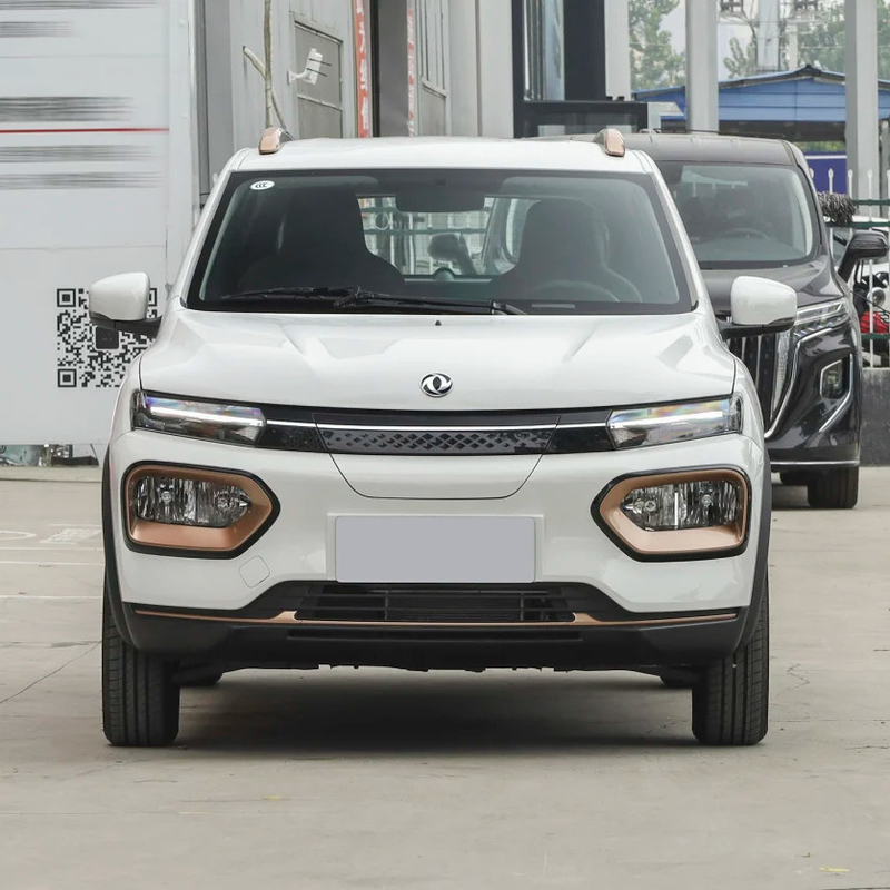 Nammi BoxEV Light Wind Version Стандартная версия Модель Время автономной работы 201KM Китайский семейный автомобиль